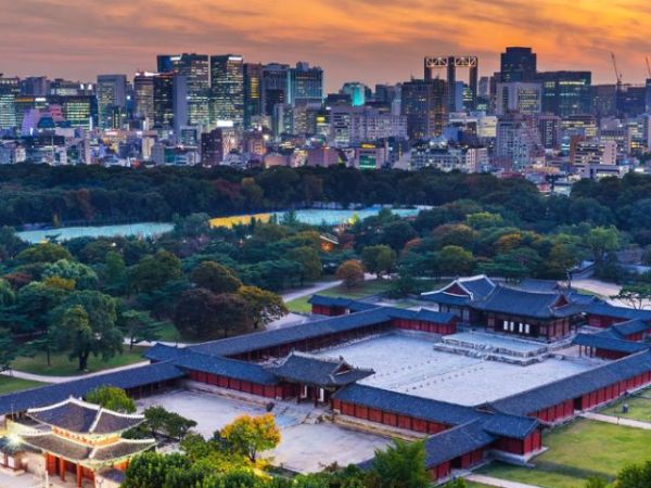 trips to south korea (5)